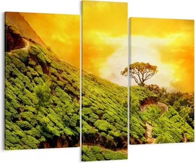 Produktbild von Bild auf Leinwand - Leinwandbild - Berg Baum Pfad Hügel - 95x80cm - Wand Bild - Wanddeko - Leinwanddruck - Bilder - Kunstdruck - Wanddekoration - Leinwand bilder - Wandkunst - CB95x80-2715