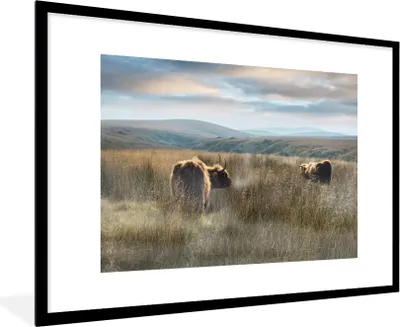 Produktbild von MuchoWow® MuchoWow® Gerahmtes Poster Schottische Hochlandrind - Nebel - Gras 90x60 cm - Poster mit zchwarzem Bilderrahmen - Wanddekoration - Fotos