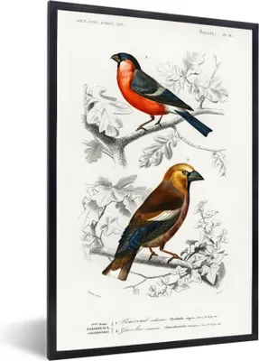 Produktbild von MuchoWow® Gerahmtes Poster Vogel - Vintage - Zweig 40x60 cm - Poster mit Schwarzem Bilderrahmen Wandposter Rahmen Foto Bilder - Papierdruck - Wandbilder
