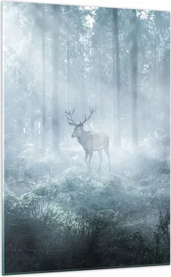 Produktbild von Bilder auf glas - Einteilig - Hirsch Wald Morgendämmerung - 70x100cm - Glasbilder - Wandbilder - Bilder - Wanddekoration aus Glas - Glas Bilder - Wandbild auf Glas - GPA70x100-4667