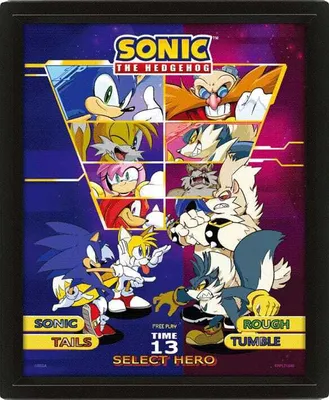 Image de Sonic The Hedgehog Poster effet 3D dans un cadre Select Your Fighter 26 x 20 cm