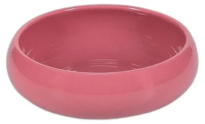 Produktbild von ONA Billie Pink Schalen-Set, 2 Stk. x 16 cm