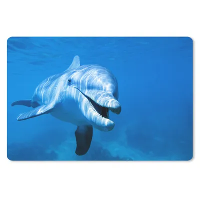 Produktbild von MuchoWow® Mauspad Mousepad Delfin - Wasser - Meer 27x18 cm - Mousepads - Maus Mat - Pad - Mausunterlage - Büroartikel - Desk Matten
