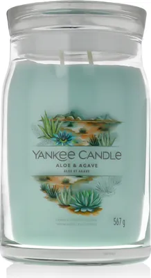 Immagine prodotto di Candela profumata Signature glass largeß Aloe & Agave 567 g