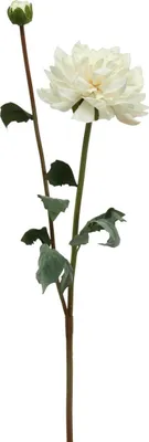 Produktbild von Kunstblume Dahlie Weiß Deko-Blume mit Knospe 57cm Echt aussehend