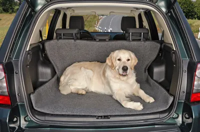 Produktbild von Auto-Schondecke 3 in 1