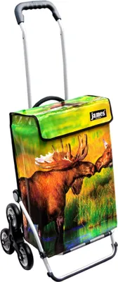 Produktbild von James Einkaufstrolley - ELK - stabiler Einkaufswagen mit individuellem Design - mehrfarbig: braun | grün in Ausführung: Royal-Treppensteiger