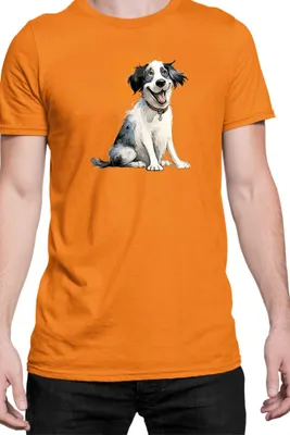 Zdjęcie produktu dla Męska Koszulka Funny Dogs Breeds Landseer Dog Breed, Man L / Pomarańczowy
