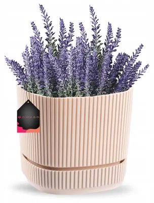 Produktbild von OMAGO Balkon-Blumentopf mit Untersetzer, Beiger Kunststoffeinsatz