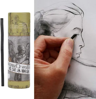 Productafbeelding van Houtskool Tekenpennen - Schets Pennen - Artistiek Tekenen - Pigmented En Duurzaam - 25 Stuks - Zwart