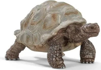Produktbild von SCHLEICH Riesenschildkröte 0 0 0