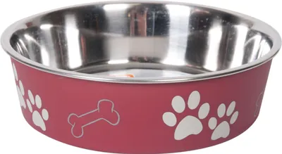 Immagine prodotto di Ciotola in acciaio inox Karlie Ascar 21 cm 1500 ml rosso scuro