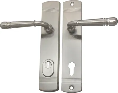 Two door handles with escutcheons on a white background.