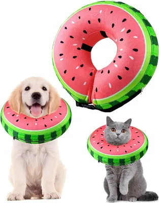 Produktbild von Aufblasbare Halskrause Hund & Katze Leckschutz, Verstellbar S 12.7-20.3cm