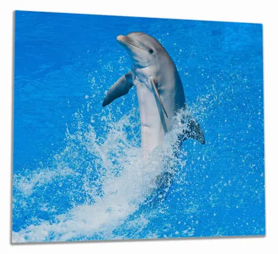 Produktbild von Wallario Herdabdeckplatte aus Glas, Größe 60 x 52 cm 1-teilig, Motiv Fröhlicher Delfin im blauen Wasser