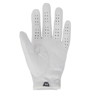 Image de Gant de golf Under Armour Tour pour homme LL