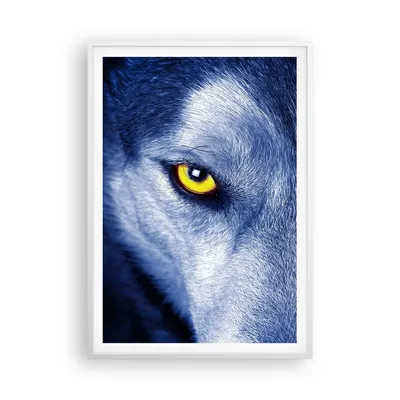 Produktbild von Gerahmtes Poster - Weißer Rahmen - Schau der Wolf Augen - 70x100 cm - Wand Bild - Wanddeko - Wandbilder - Kunstposter - Wandposter - Bilderrahmen - Bilder - Kunstdruck - P2WPA70x100-4587