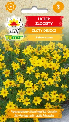 Zdjęcie produktu dla Uczep złocisty ZŁOTY DESZCZ Nasiona kwiatów - 676 Toraf