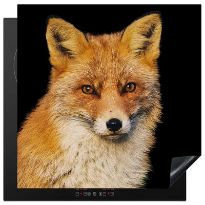 Produktbild von KitchenYeah© Herdabdeckplatte Fuchs - Rot - Schwarz , 78x78cm, Küche Deko, Glaskeramikkochfeld Herdabdeckung, Abdeckplatte fùr Kochfeld
