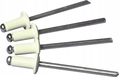 Produktbild von 4x8 Niete - weiß (Packung - 100 Stück) Aluminiumschnitt
