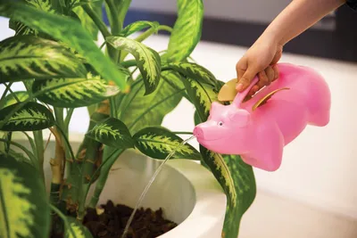 Produktbild von Niedliche Gießkanne "fliegendes Schwein" 2 L, Kinder Gießkanne