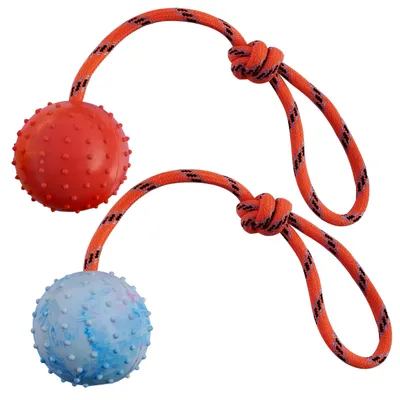 Image de 2 balles attachées à une corde pour l'entraînement des chiens