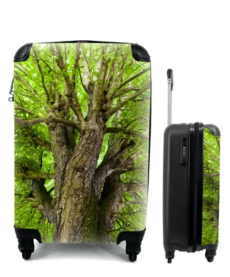 Produktbild von MuchoWow® Koffer Handgepäck Trolley Rollkoffer Kleine Reisekoffer mit 4 Rollen - Ein Kastanienbaum im Sommer - Cabin Size < 55x40x23 cm & 55x40x20 cm - Fotokoffer - Kabinenkoffer - Boardgepäck - Reise-Box - Reisekoffer - Reisegepäck - Koffer mit Bild - Trolley für Kinder