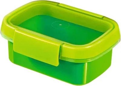 Image de CURVER Smart To Go Nomade Rect 0,2L