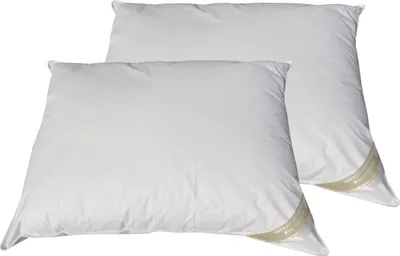 Produktbild von 2 Stück Betten Hofmann Basic Allergiker Kopfkissen Polster 70x90 cm prall 1000 g