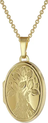 trendor 39544 Medaillon mit Kette Gold plattiertes 925 Silber 1