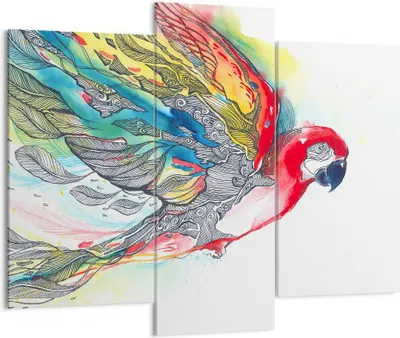 Produktbild von Bild auf Leinwand - Leinwandbild - Parrot Flügel Federn Natur - 130x100cm - Wand Bild - Wanddeko - Leinwanddruck - Bilder - Kunstdruck - Wanddekoration - Leinwand bilder - Wandkunst - CB130x100-3008