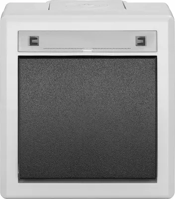 Immagine prodotto di Elektro-Plast | Interruttore Universale 5001-10 - Grigio - IP55 - Impermeabile - Design Moderno - Struttura Durevole