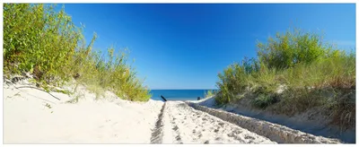 Produktbild von Wallario Premium Glasbild, freischwebende Optik, kräftige Farben, Größe 125 x 50 cm Motiv Auf dem Sandweg zum Strand - Blauer Himmel über dem Meer