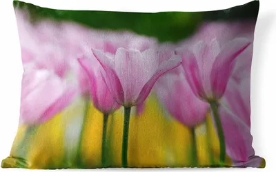 Produktbild von MuchoWow® Outdoor Kissen - Blumen - Tulpen - Rosa - 60x40 cm - Wetterfest - Lounge Kissen - Zierkissen - Kissen für Innenräume