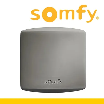 Produktbild von OUTLET Somfy Access Receiver iO Fernsteuerung Kontrolle Universal Funkempfänger