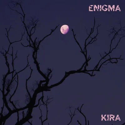 Immagine prodotto di Enigma (edizione in vinile)