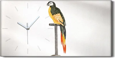 Produktbild von Wanduhr Bürouhr Leinwand Bild 60x30 Zeichnung Tier Vogel Papagei Kunst - weiße Hände