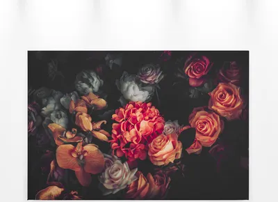 Produktbild von Blumen Leinwandbild Rot Schwarz 90x60 DD120251 Keilrahmen Wandbild Leinwand