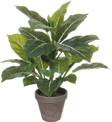 Produktbild von Mica Decorations Evergreen Kunstpflanze - H49 x Ø40 cm - Grün