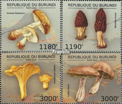 Produktbild von Briefmarken Burundi 2012 Mi 2738-2741 (kompl.Ausg.) postfrisch Speisepilze