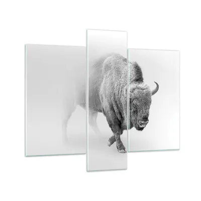 Produktbild von Bilder auf glas - 3 Teile - Wisent Schwarzweiß Licht - 95x80cm - Glasbilder - Wandbilder - Bilder - zum Aufhängen bereit - Wanddekoration aus Glas - Glas Bilder - Wandbild auf Glas - GCB95x80-4418