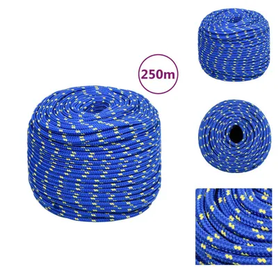Immagine prodotto di vidaXL Corda da barca blu 8 mm 250 m in polipropilene - Corde