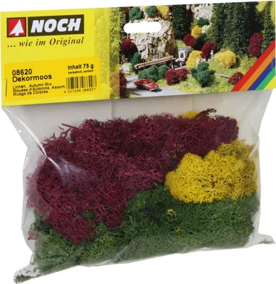 Immagine prodotto di NOCH 08620 Muschio decorativo autunnale, 75 g