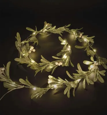 Image de EMOS Guirlande de gui LED 1,5 m avec 25LED, blanc chaud, minuterie 6/18 h, alimentation 3x AA, câble 25cm, 10000 h, pour l'intérieur, vert/blanc, DCTW27