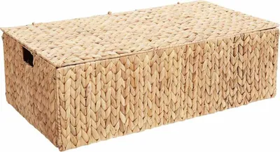 Produktbild von vidaXL Aufbewahrungsbox Natur 60 x 38 x 20 cm Wasserhyazinthe