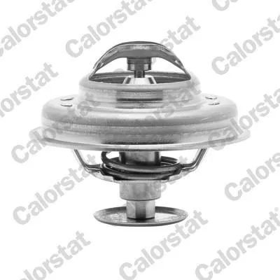 Produktbild von CALORSTAT by Vernet Thermostat + Dichtung