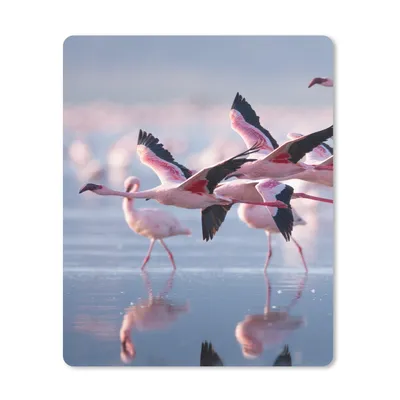 Produktbild von MuchoWow® Mauspad Mousepad Flamingo - Vogel - Wasser - Rosa 30x40 cm - Mousepads - Maus Mat - Pad - Mausunterlage - Mausmatten