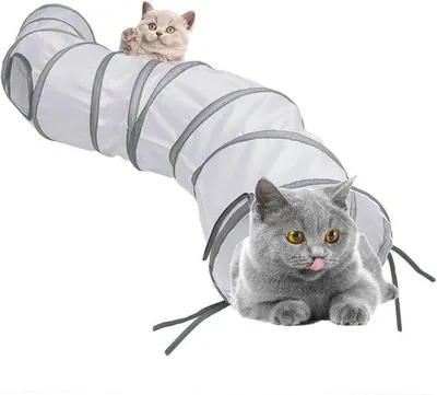 Image de Tunnel Katentunnel et cube Kattenkubus, jouet pliable pour chats, intérieur et extérieur – Tunnel pliable à trois voies ou individuel – pour chats, chiens, chatons, lapins