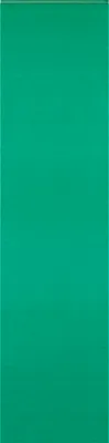 Produktbild von Flächenvorhang jade grün halb transparent 60x245 cm Schiebegardine Wildseide Optik Vorhang