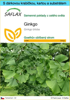 Obrázek produktu pro SAFLAX Dárková sada - ginkgo - Ginkgo biloba - 4 Semena - S dárkovou krabičkou, přepravním štítkem, dárkovou kartou a pěstebním médiem